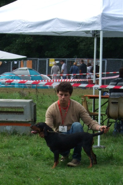 Publication : Du Marais De Licendre