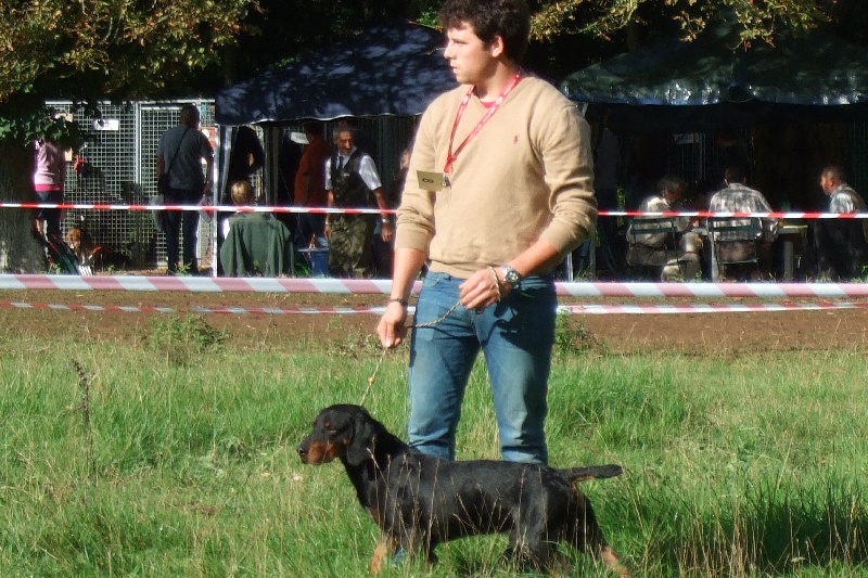 Publication : Du Marais De Licendre