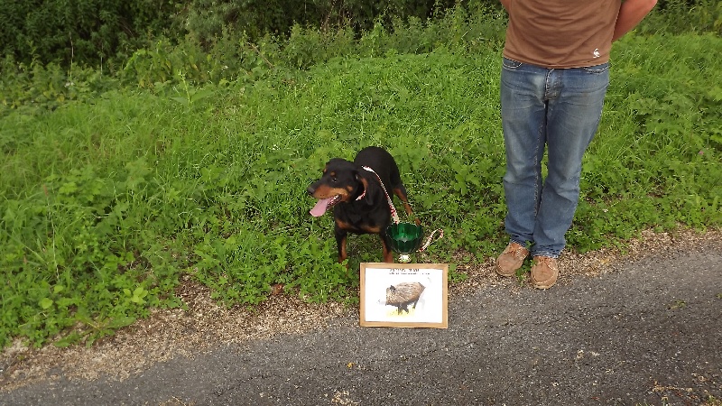 Publication : Du Marais De Licendre