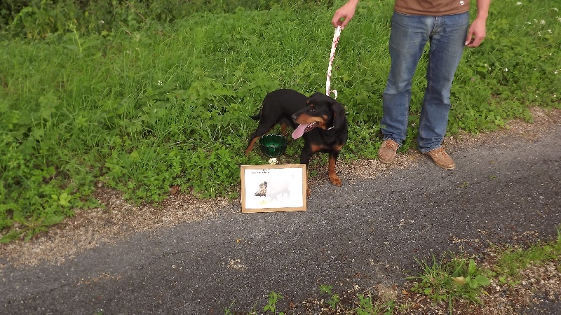 Publication : Du Marais De Licendre