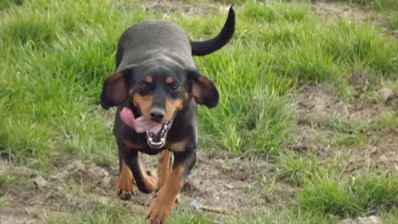 Publication : Du Marais De Licendre