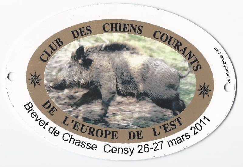 CH. Champagne d'el la foud d'al gatt - Excellent 150/150 pts