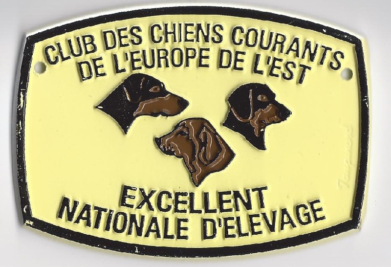 CH. Elite Titre Initial - 1 er Excellent Femelle CACS
