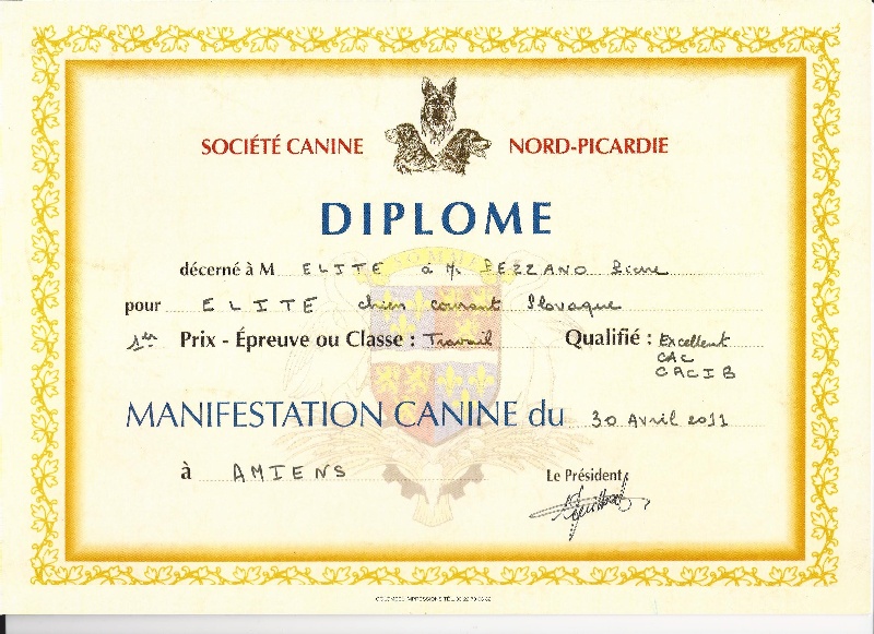 CH. Elite Titre Initial - 1 er Excellent CACS-CACIB