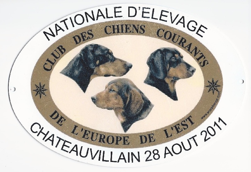 CH. Champagne d'el la foud d'al gatt - Excellent classe travail mâles