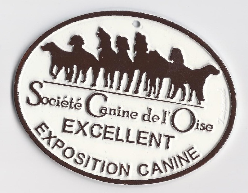 CH. Champagne d'el la foud d'al gatt - 1 er Excellent CACS