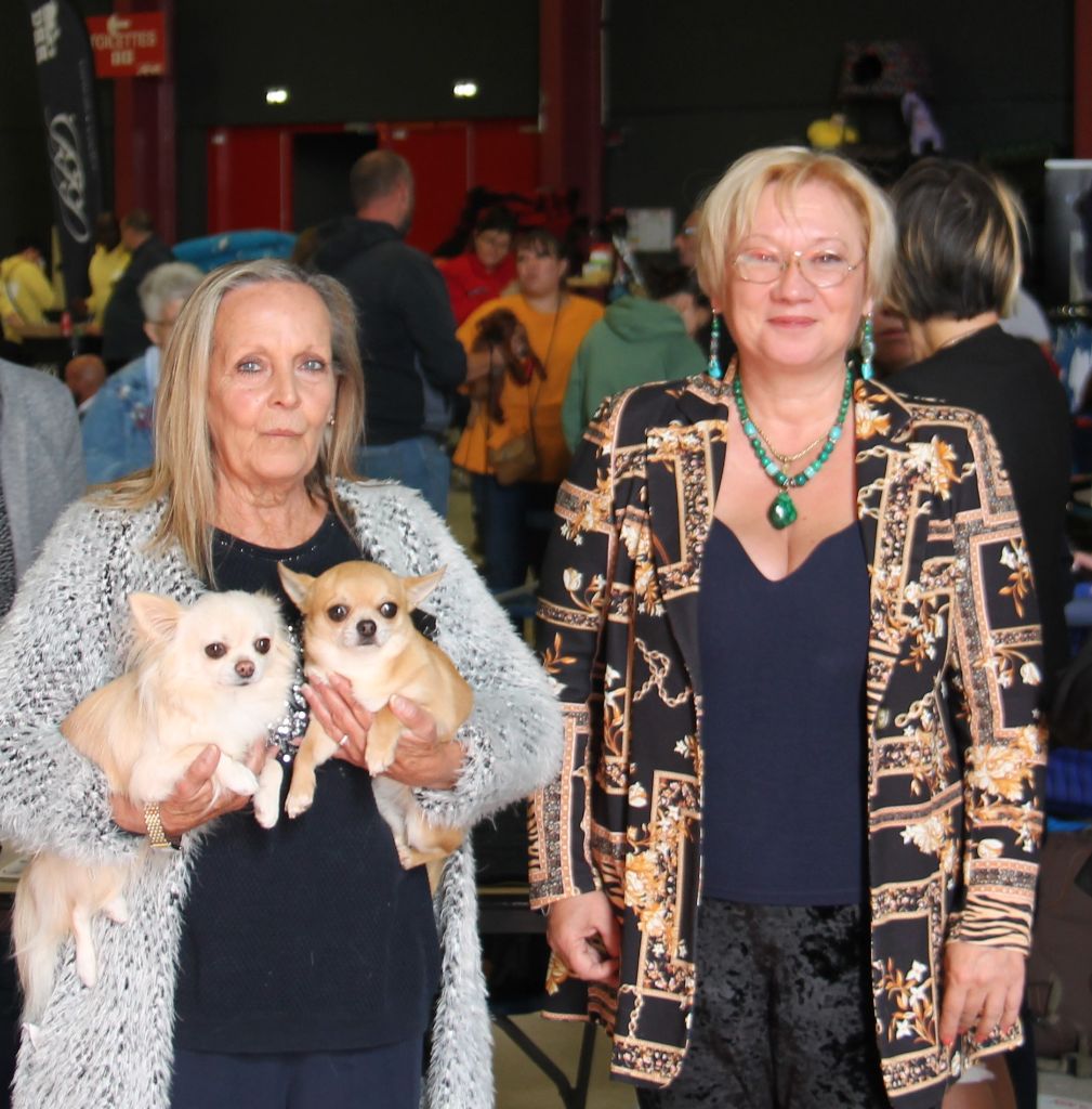 CH. Pink lady Du Clos De Diania Turba - 1ERE EXC MEILLEUR CHAMPION