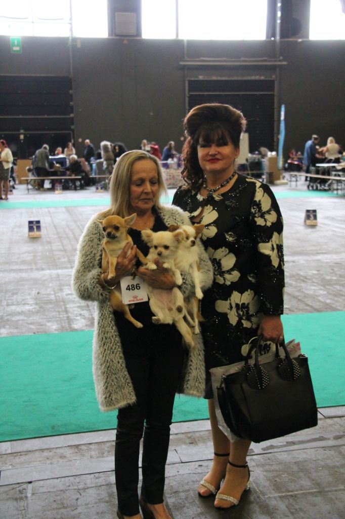 CH. Pink lady Du Clos De Diania Turba - 2EME TRÈS PROMETTEUR