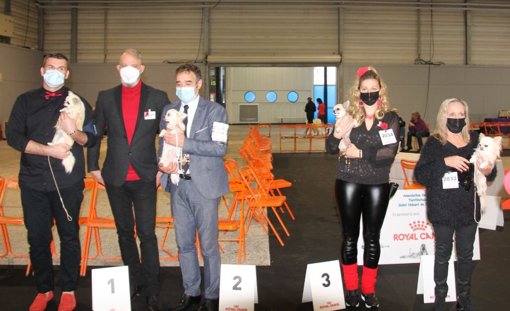 CH. Pink lady Du Clos De Diania Turba - 4 EME EXC