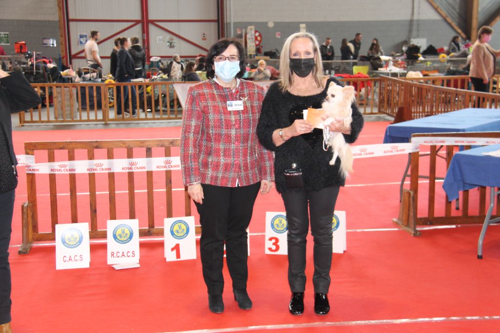 CH. Pink lady Du Clos De Diania Turba - 1ERE EXC CAC MEILLEUR DE RACE