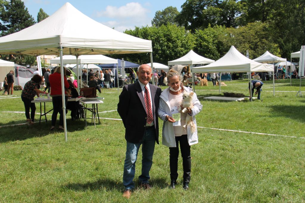 CH. Pink lady Du Clos De Diania Turba - 1ERE EXCELLENT CACS MEILLEUR DE SEXE OPPOSE