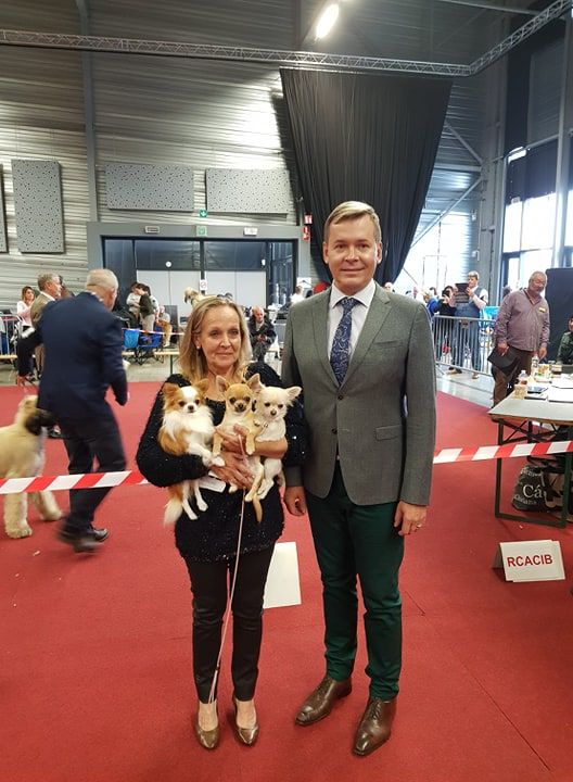 CH. Pink lady Du Clos De Diania Turba - TRES PROMETTEUR