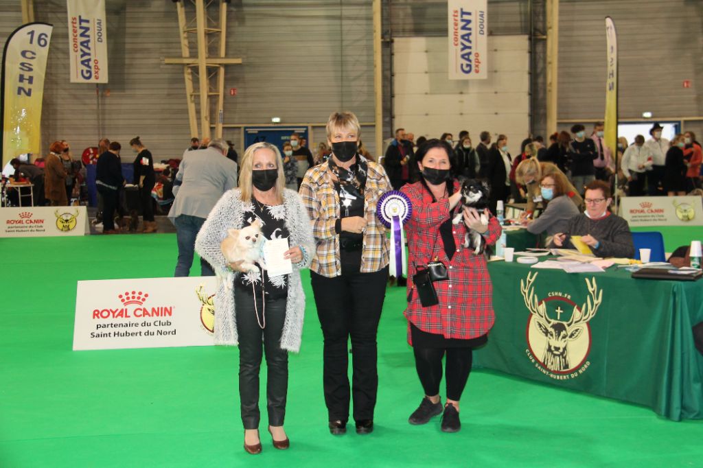 CH. Pink lady Du Clos De Diania Turba - 1ERE EXC CACS MEILLEUR SEXE OPPOSE