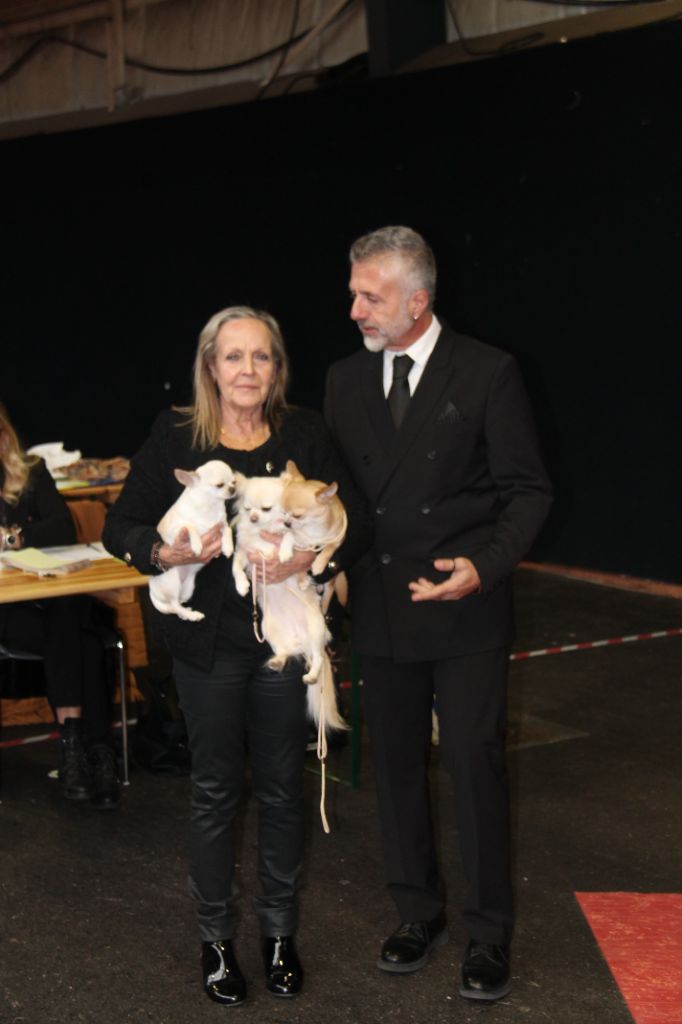 CH. Pink lady Du Clos De Diania Turba - 1ERE EXC CACS CACIB MEILLEUR DE RACE