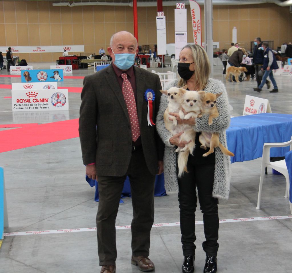 CH. Pink lady Du Clos De Diania Turba - 2EME EXC