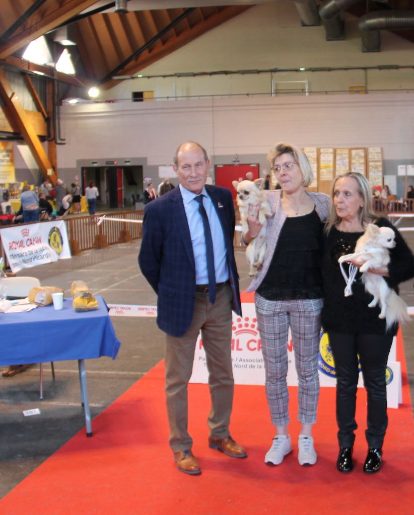 CH. Pink lady Du Clos De Diania Turba - 1ERE EX C1ERE EXC CACS CACIB MEILLEUR DE RACE SEXE OPPOSE