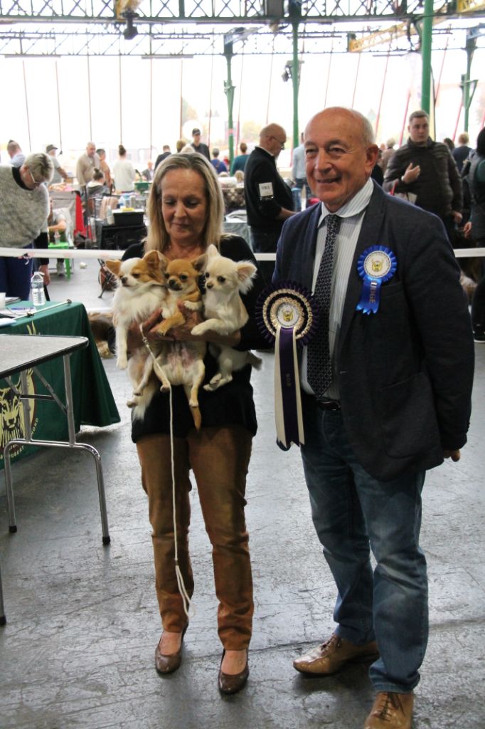 CH. Pink lady Du Clos De Diania Turba - TRES PROMETTEUR