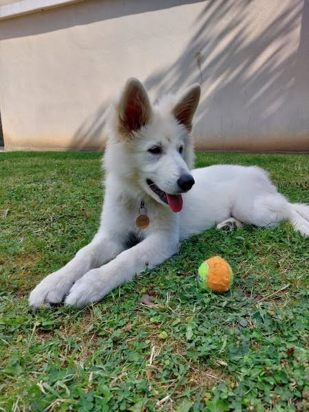 A moka Du Moulin De Beuvry