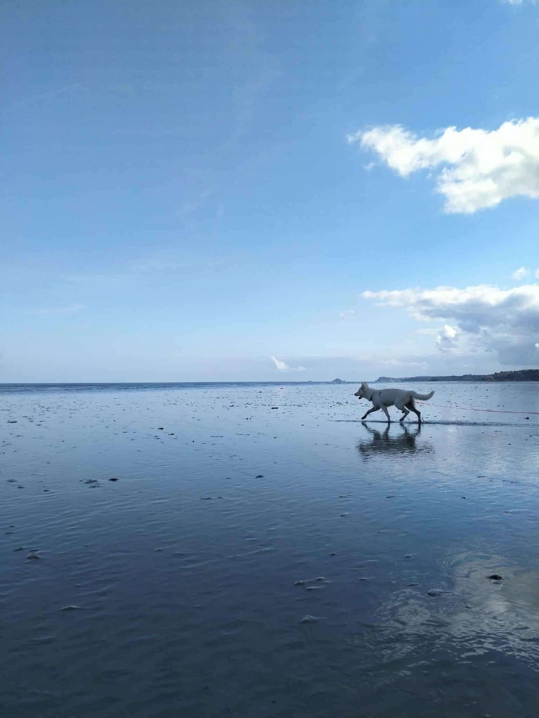 A moka Du Moulin De Beuvry