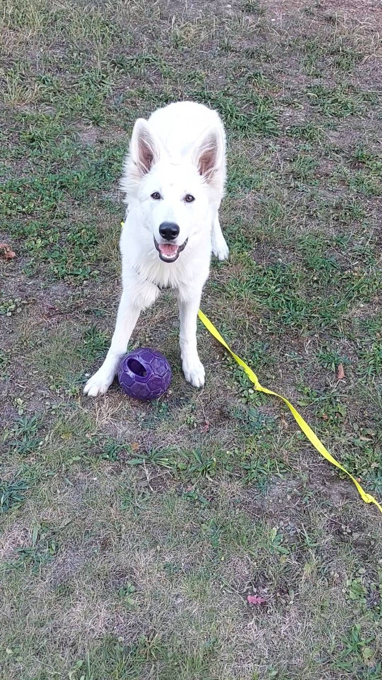 A moka Du Moulin De Beuvry