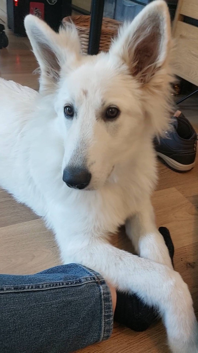 A moka Du Moulin De Beuvry