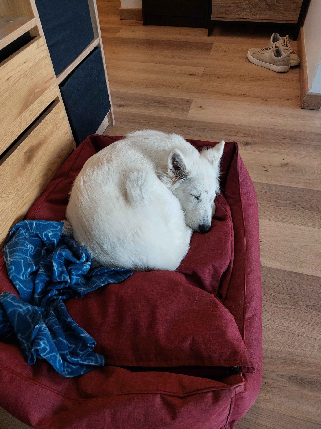 A moka Du Moulin De Beuvry