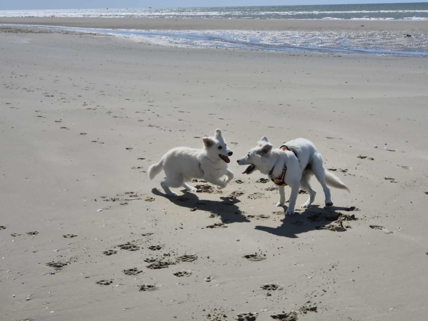 A skadi Du Moulin De Beuvry
