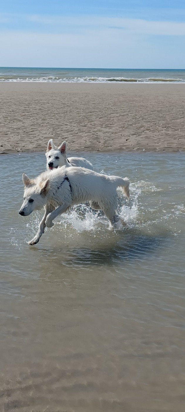 A skadi Du Moulin De Beuvry