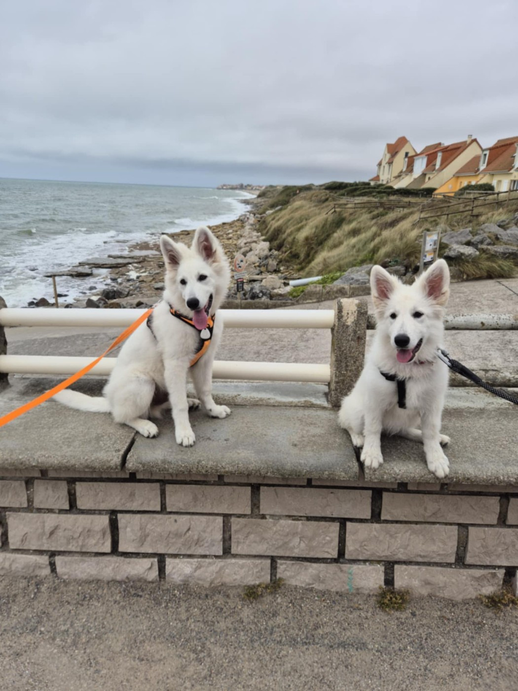 A skadi Du Moulin De Beuvry