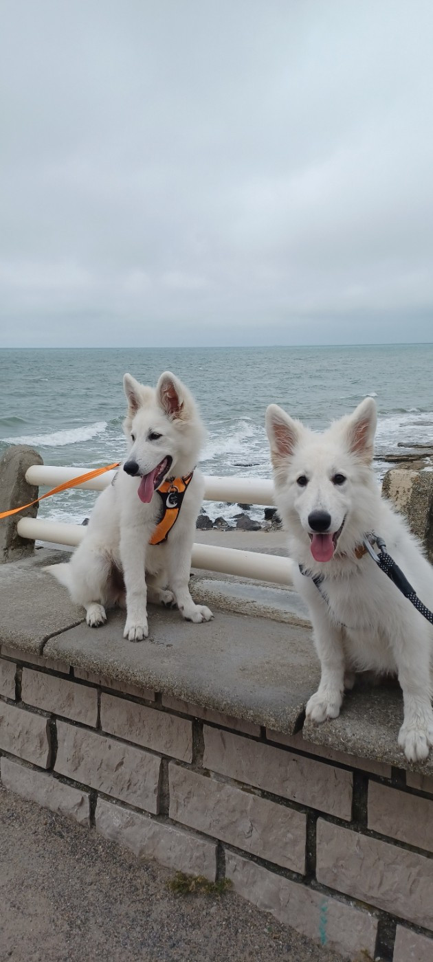 A skadi Du Moulin De Beuvry