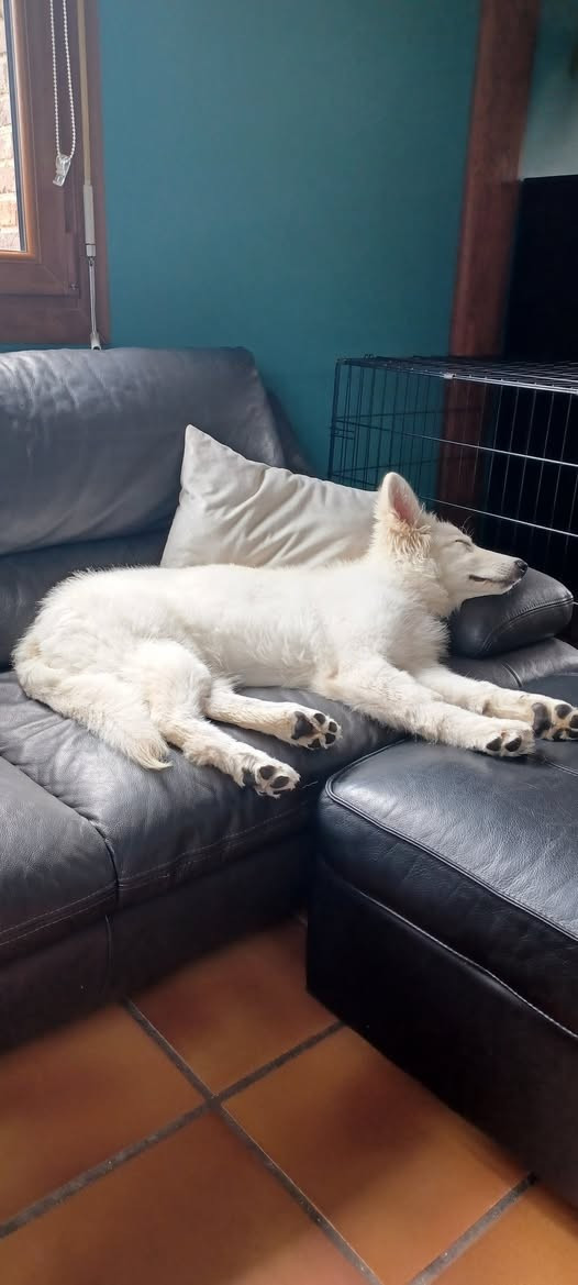 A skadi Du Moulin De Beuvry