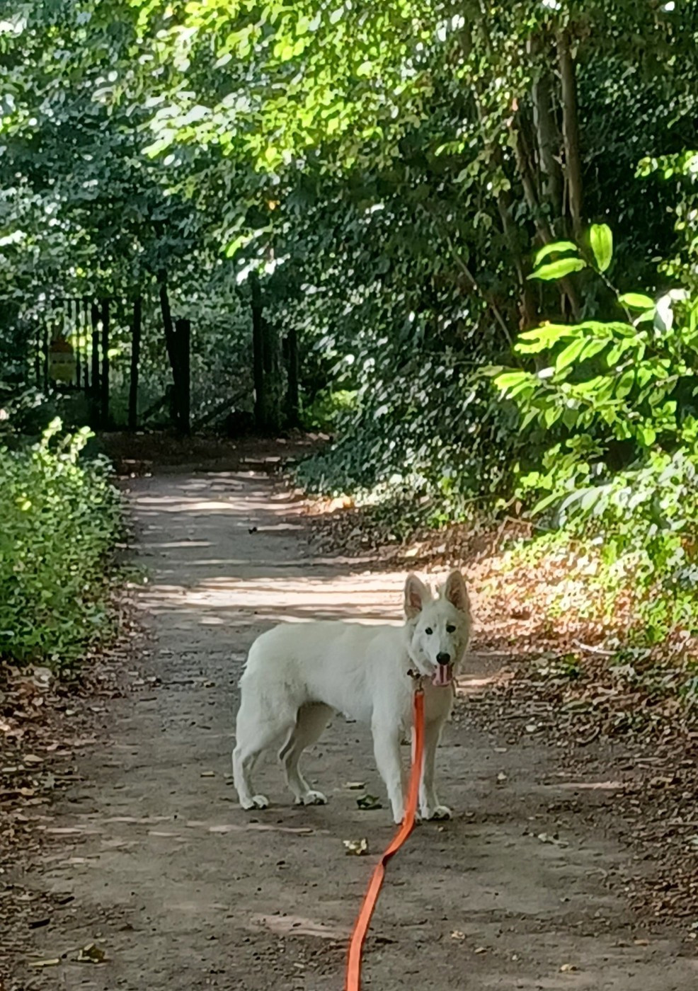A skadi Du Moulin De Beuvry