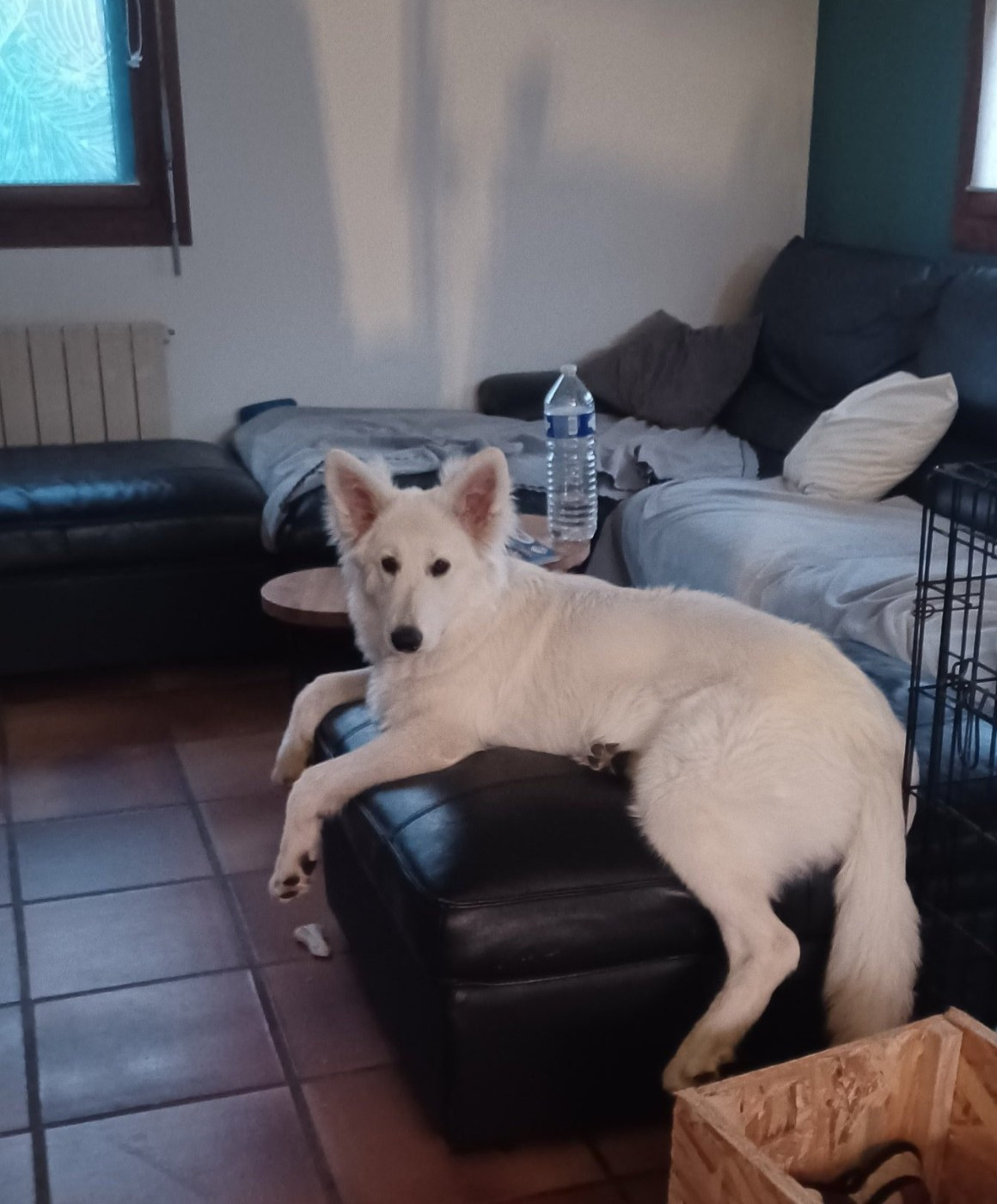 A skadi Du Moulin De Beuvry