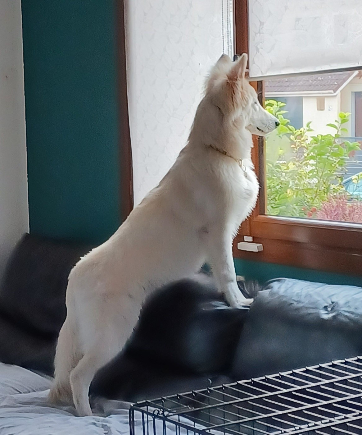 A skadi Du Moulin De Beuvry