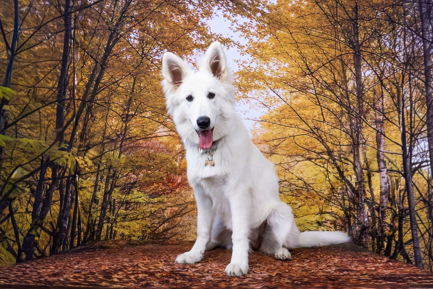 A skadi Du Moulin De Beuvry