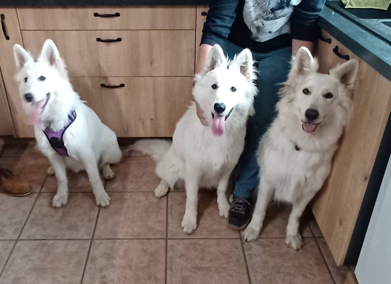 A skadi Du Moulin De Beuvry