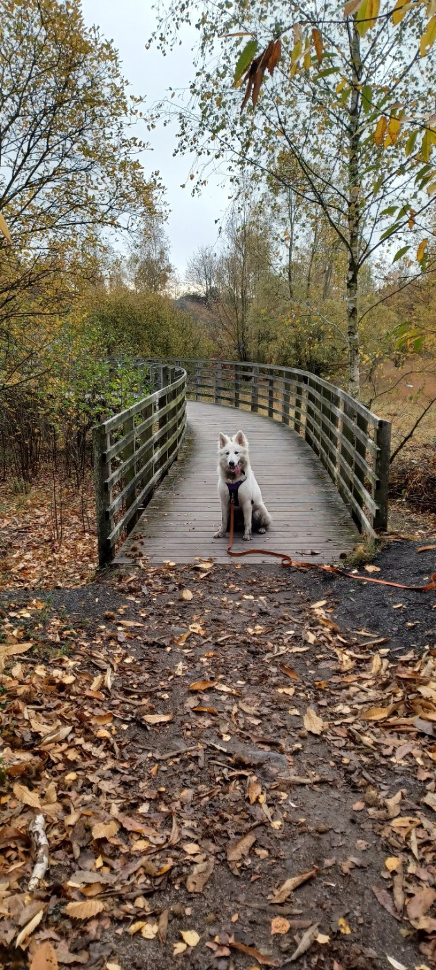 A skadi Du Moulin De Beuvry