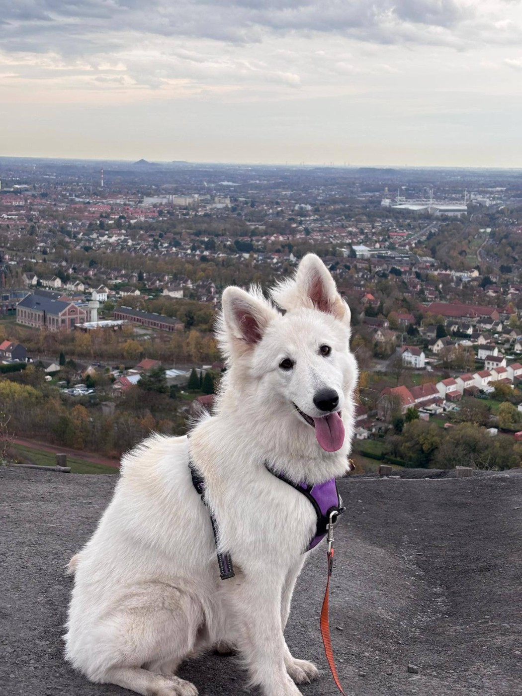 A skadi Du Moulin De Beuvry