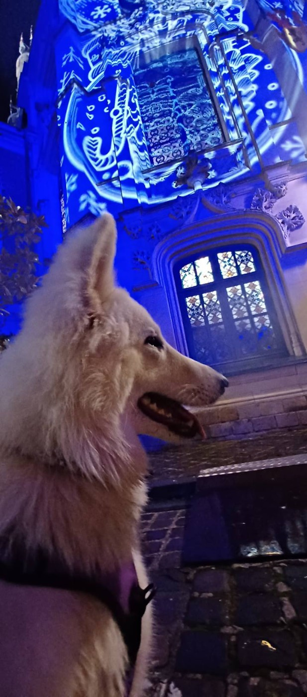 A skadi Du Moulin De Beuvry