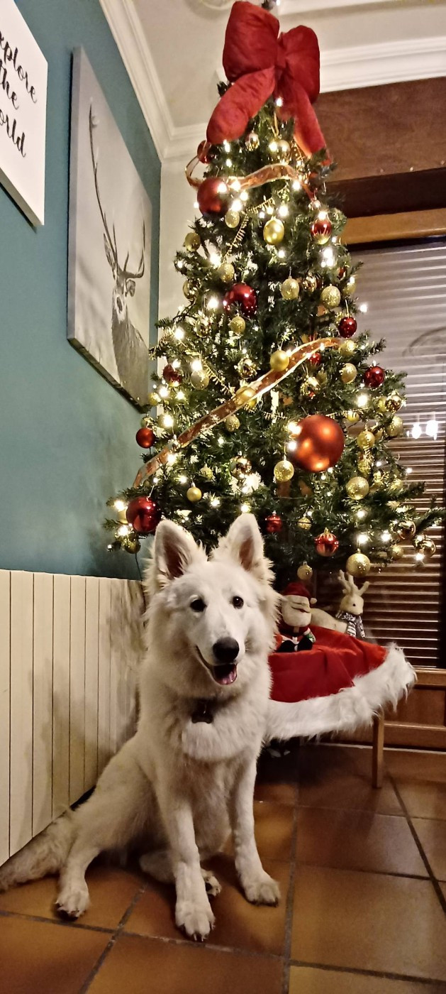 A skadi Du Moulin De Beuvry