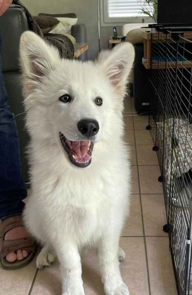 Aiko Du Moulin De Beuvry