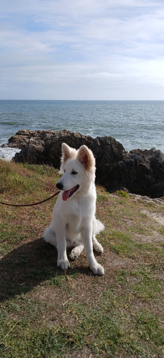 Aiko Du Moulin De Beuvry