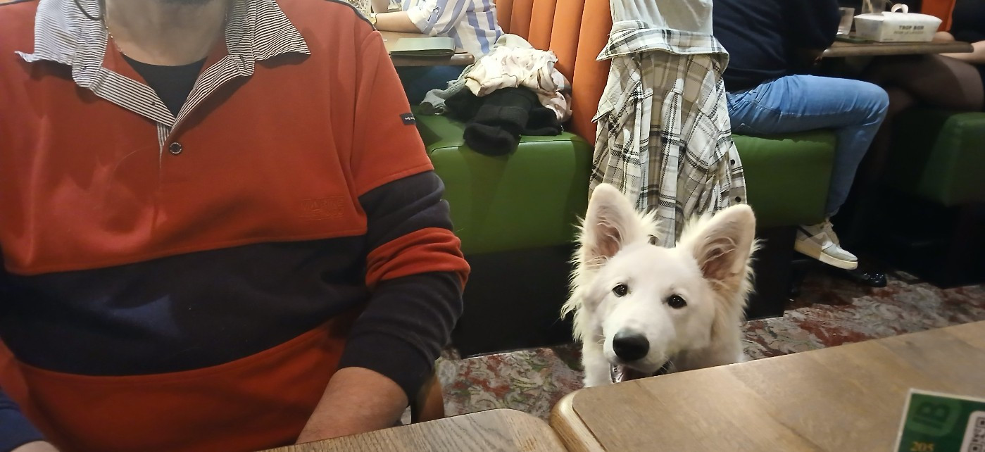 Aiko Du Moulin De Beuvry