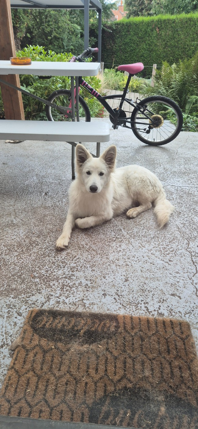 Alba Du Moulin De Beuvry