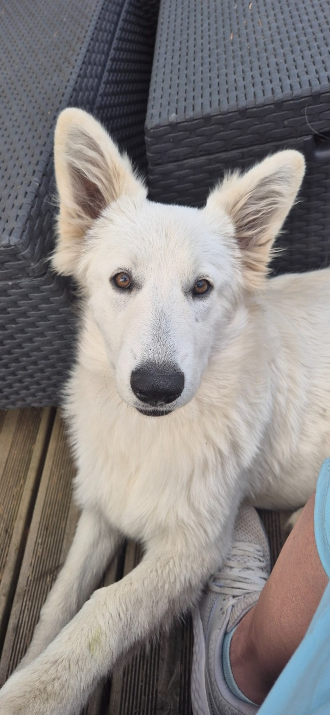 Alba Du Moulin De Beuvry