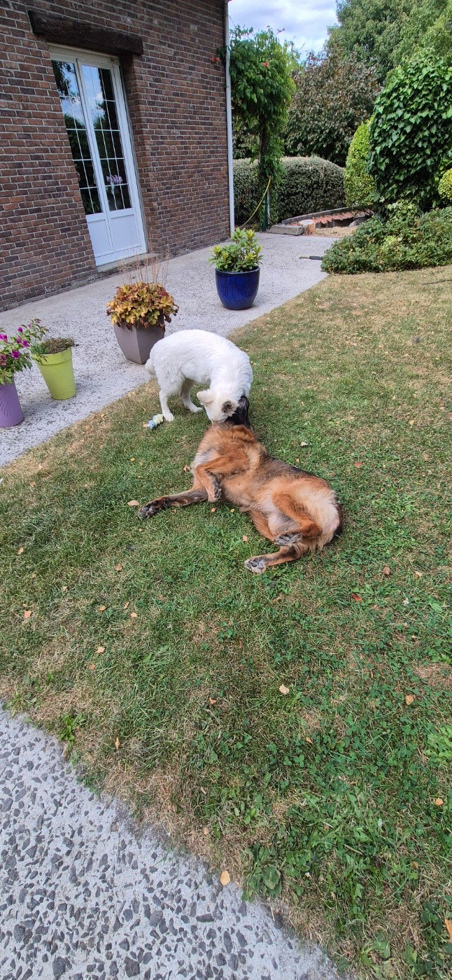 Alba Du Moulin De Beuvry