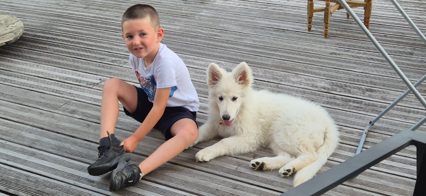 Apollo Du Moulin De Beuvry