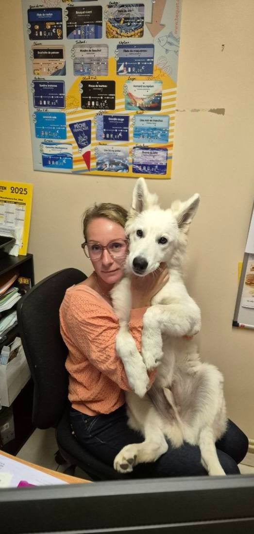 Apollo Du Moulin De Beuvry