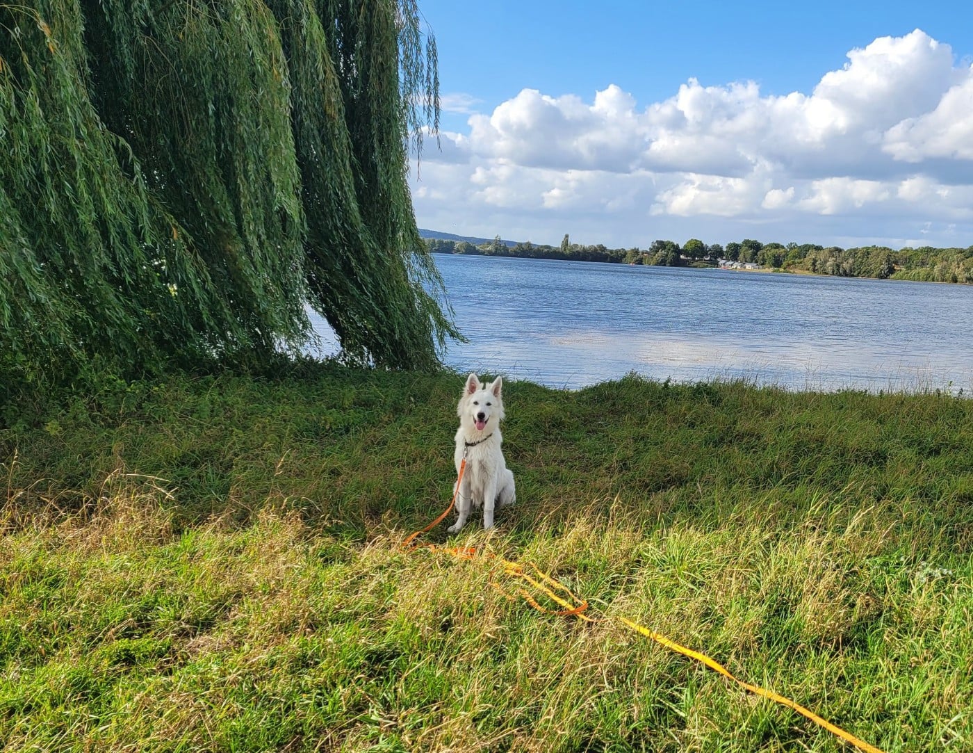Apollo Du Moulin De Beuvry