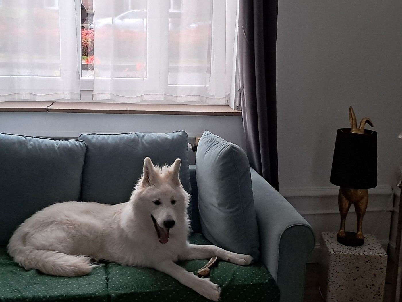 Arrow Du Moulin De Beuvry